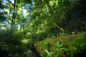 BIB: 
                            <button type="button" onclick="openModal(18923432)" class="btn btn-primary btn-sm float-right btn-popup" data-toggle="modal" data-target=".modal-high-quality">
                        <i class="fas fa-shopping-cart"></i> Add to Cart
                    </button>
                                            <button type="button" onclick="isThisMe(18923432, true)" class="btn btn-success btn-sm float-right btn-popup btn-isme hidden" data-toggle="tooltip" data-placement="bottom" title="นี่คือรูปของคุณใช่ไหม คลิกที่นี่เพื่อเอาเข้าอัลบั้ม">
                        <i class="fas fa-plus"></i> Add to album
                    </button>
                    <button type="button" onclick="isThisMe(18923432, false)" class="btn btn-warning btn-sm float-right btn-popup btn-isnotme hidden">
                        <i class="fas fa-ban"></i> Remove from album
                    </button>